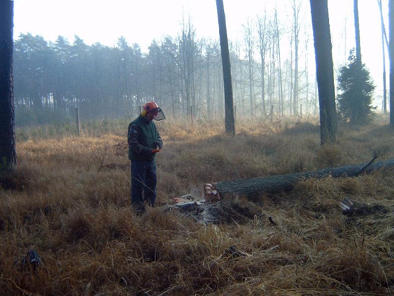 Wycinka drzew,ścinkadrzewa,wyciąć drzewo,drzew,, Kraków,Wieliczka,Skawina,Proszowice, i okolice, małopolskie