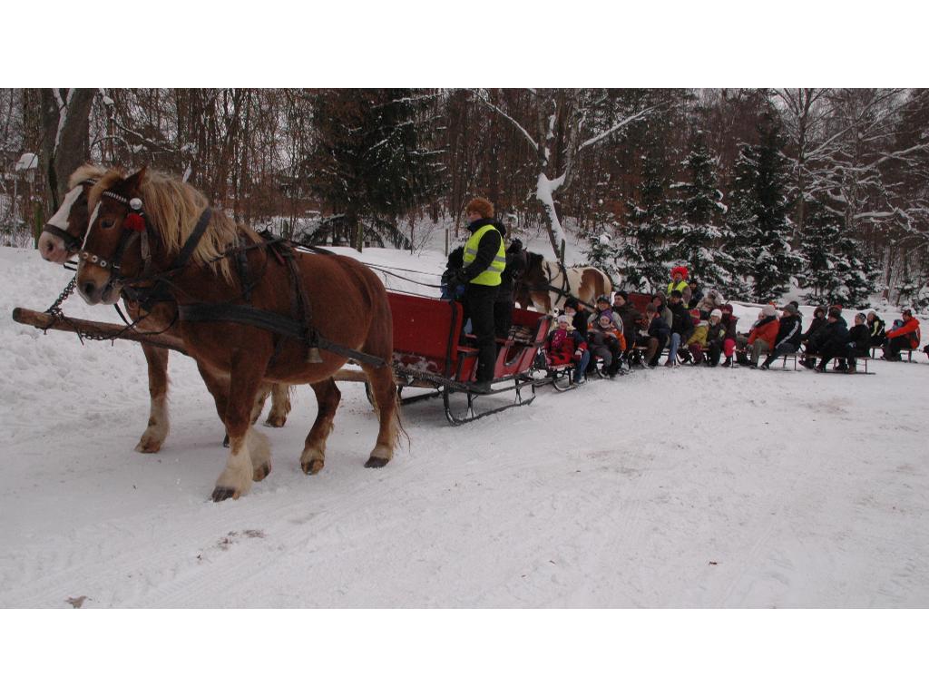 Kuligi Szymbark; Wieżyca ; Kaszuby kulig, Wieżyca, Szymbark, pomorskie