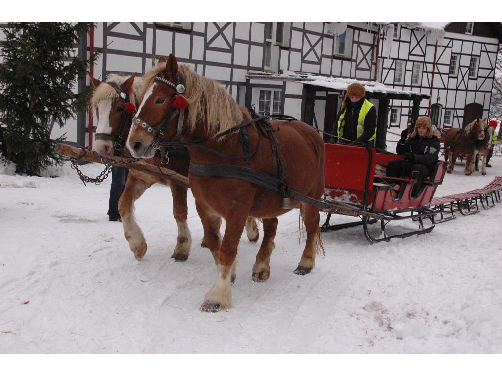 Kuligi Szymbark; Wieżyca ; Kaszuby kulig, Wieżyca, Szymbark, pomorskie