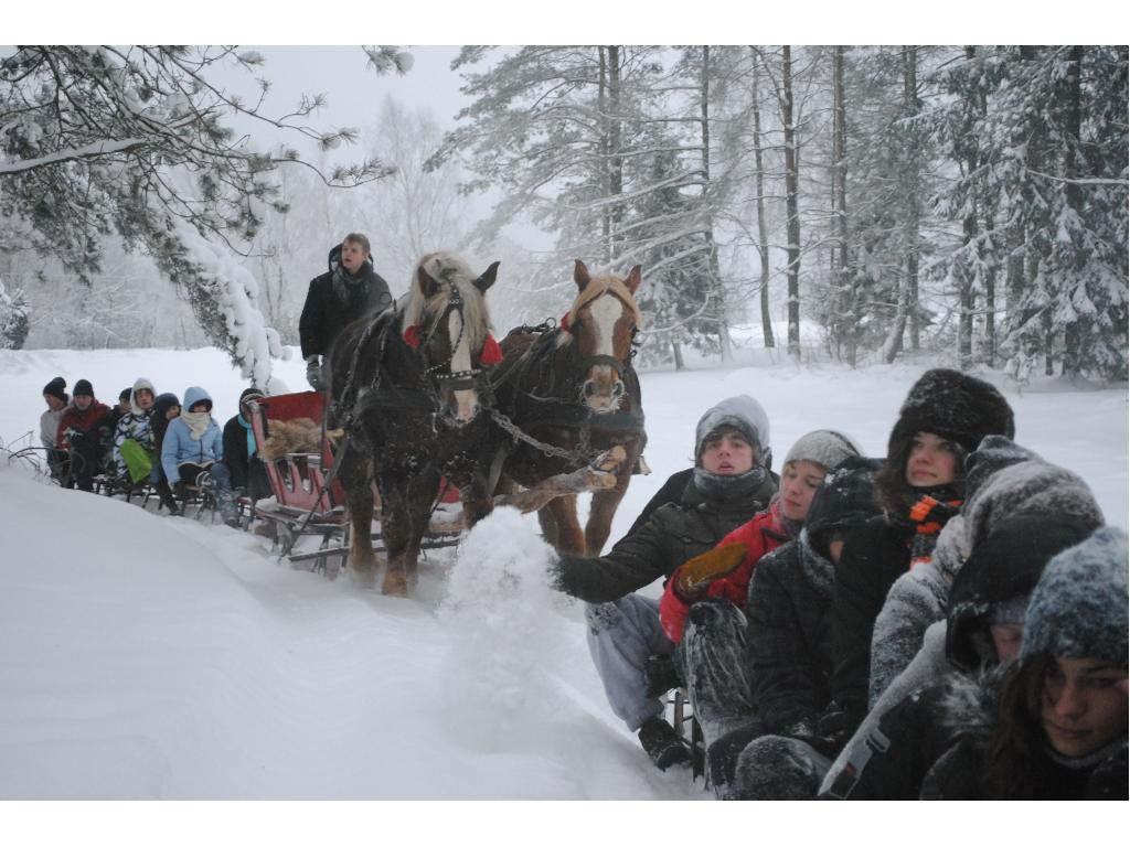 Kuligi Szymbark; Wieżyca ; Kaszuby kulig, Wieżyca, Szymbark, pomorskie