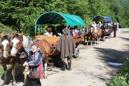 Agencja Turystyczna Rajska Dolina Bieszczady, Rajskie, podkarpackie