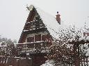 Zdjęcie nr 8