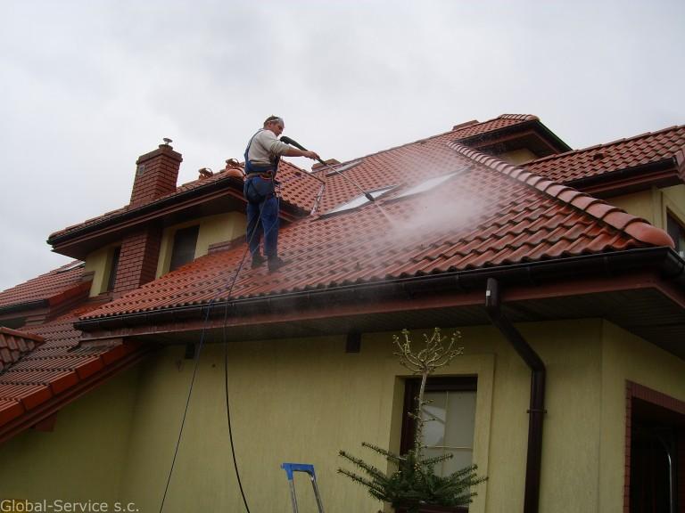 Czyszczenie dachów odgrzybianie,malowanie