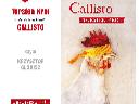 Callisto  -  2H darmowego słuchania  -  audiobook