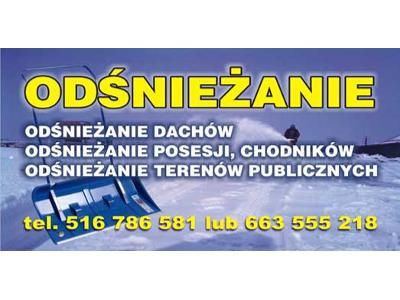 ODŚNIEŻANIE DACHÓW, CHODNIKÓW, POSESJI, Legionowo, mazowieckie