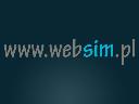 WEBSIM  -  agencja interaktywna