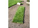 Trawniki rolowane, trawa z rolki  BYDGOSZCZ TORUŃ - PRODUCENT , BYDGOSZCZ, kujawsko-pomorskie