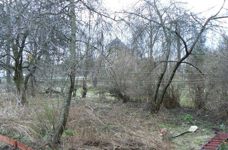 Wycinka drzew krzewów karczowanie , Krzeszowice, małopolskie