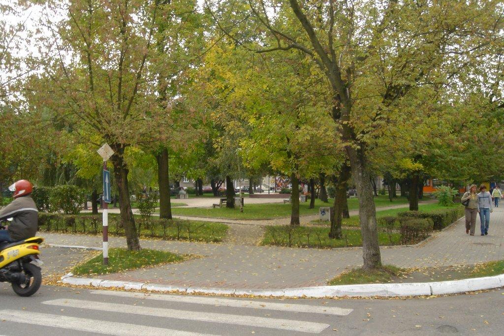 Park Miejski obok Biura Informacji Finansowej w Żurominie