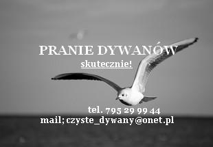 Pranie dywanów gdańsk.cennik w opisie., pomorskie