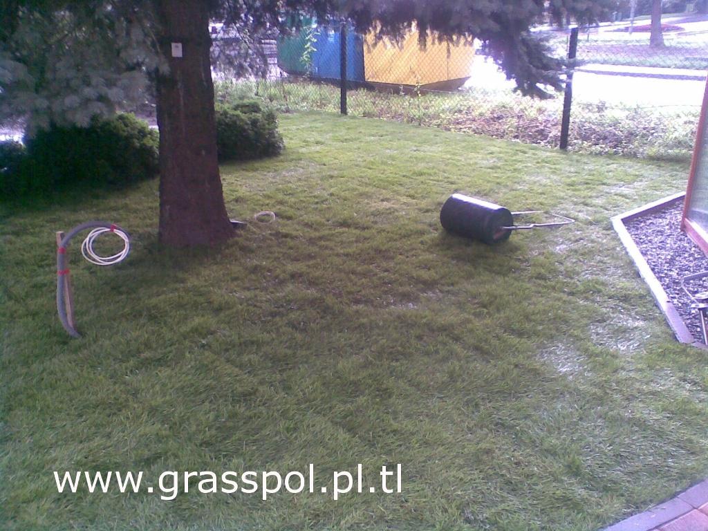 Zakładanie trawników, zakładanie trawnika, budowa trawników, Gliwice, śląskie