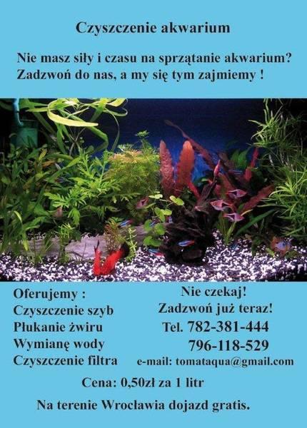 Czyszczenie akwarium, Wrocław, dolnośląskie