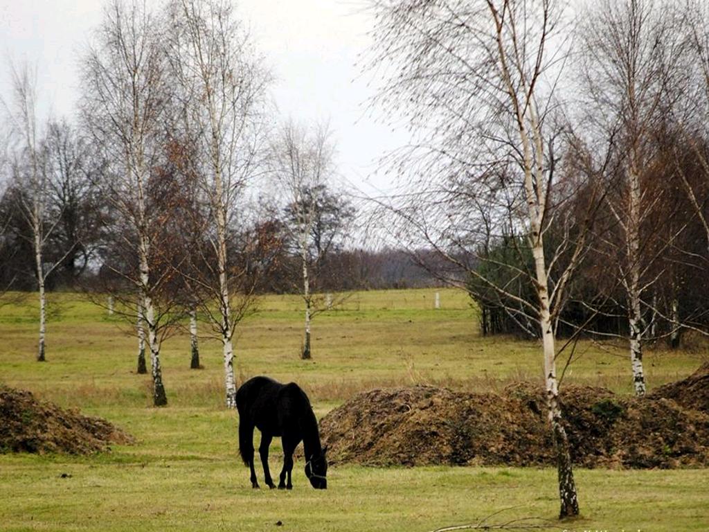 PÓŁWCZASY DLA SENIORÓW LEGNICA, LUBIN I OKOLICE, dolnośląskie