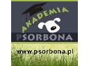 Akademia Psorbona - pozytywne szkolenie psów, Warszawa, mazowieckie