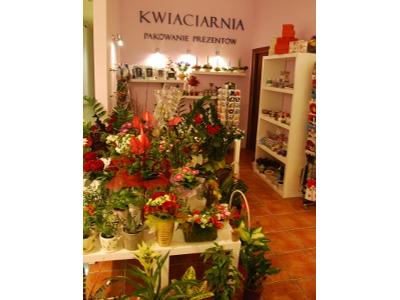 Kwiaciarnia w CH Plaza Sosnowiec - kliknij, aby powiększyć