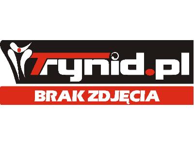 Trynid.pl- baza samochodów nowych i demonstracyjnych dostępnych "od ręki" u dealerów. - kliknij, aby powiększyć