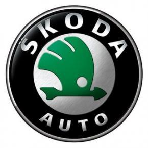 DIAGNOSTYKA VW AUDI SKODA SEAT + BADANIE LAKIERU, śląskie