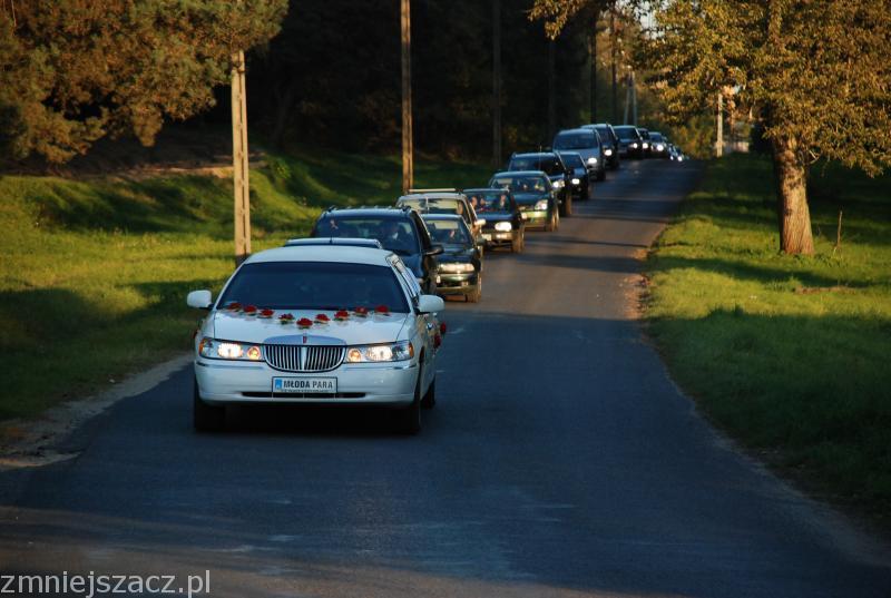 WYNAJEM LIMUZYNY Golub-Dobrzyń Kowalewo pomorskie, kujawsko-pomorskie