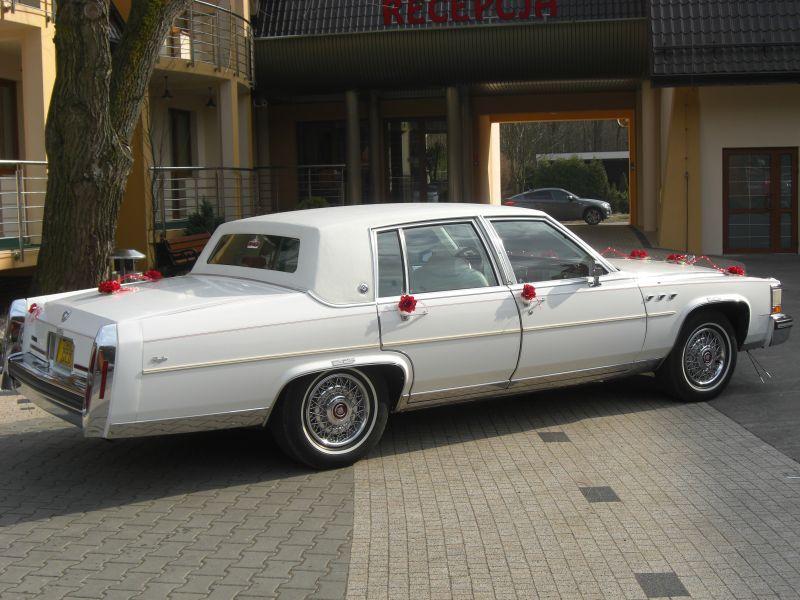 Auto Do Ślubu Biały Cadillac Zduńska Wola, łódzkie