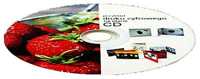Drukarnia płyt CD  DVD