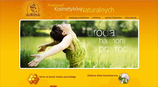 Strona internetowa