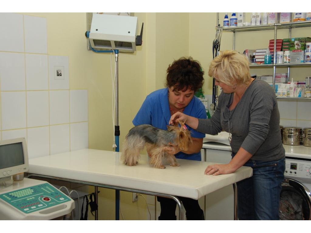 Pani Doktor kocha wszystkie zwierzęta