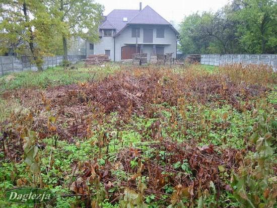 Aranżacja i projektowanie ogrodów, Zawiercie, śląskie