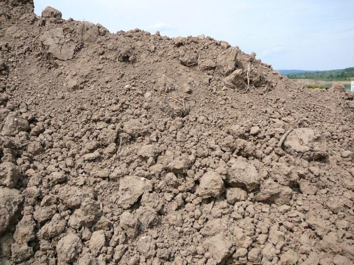 Humus, ziemia  Sosnowiec, Ruda Śląska, Zabrze, Kraków, małopolskie