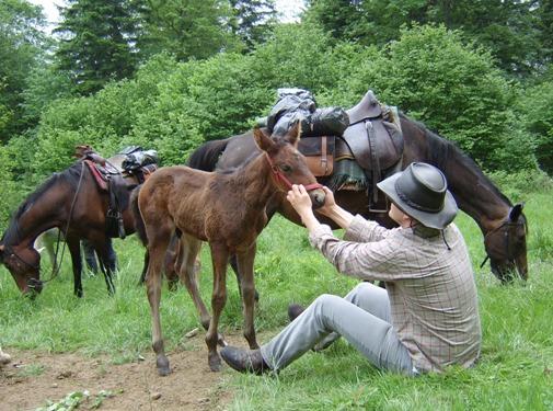 pokoje bieszczady, agroturystyka w bieszczadach, agroturystyka bieszczady