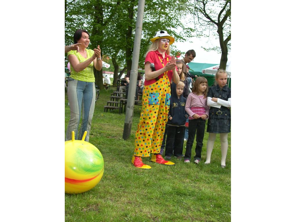 MALOWANIE TWARZY, MODELOWANIE FIGUREK Z BALONÓW , Poznań, wielkopolskie