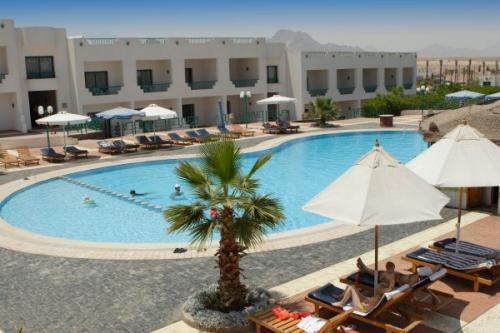 Egipt- hotel Sharm Holiday poleca B.P Geotour, Chorzów, śląskie