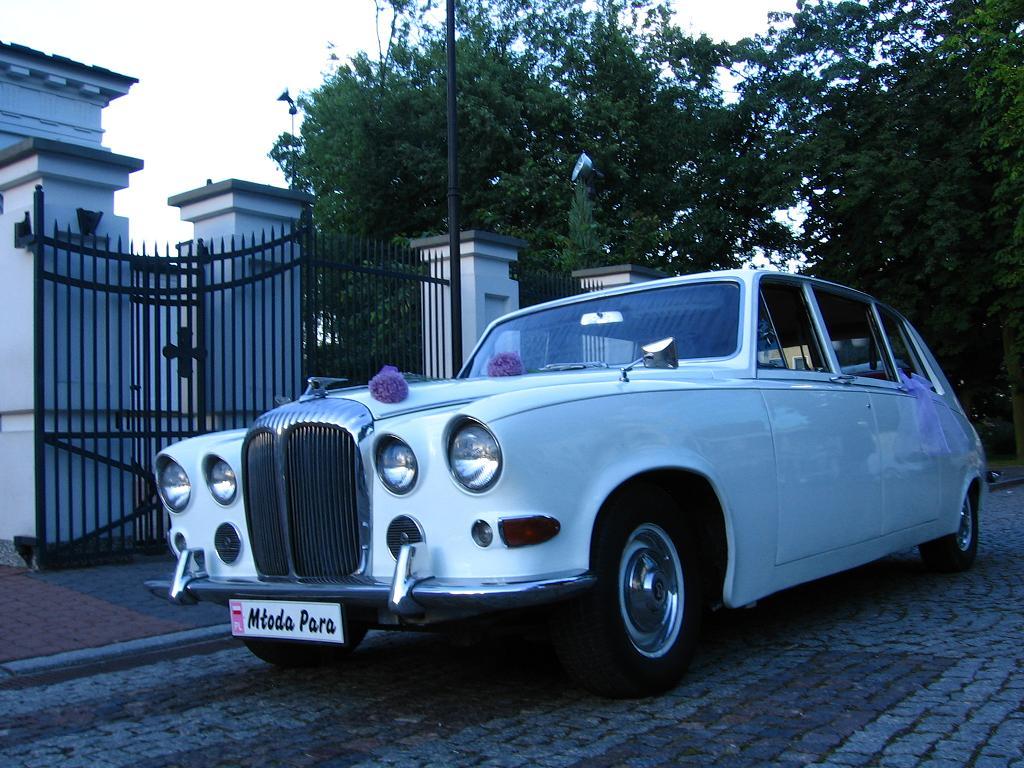 Auto ślubne ,limuzyna do ślubu DAIMLER PRINCESS, Białystok, podlaskie