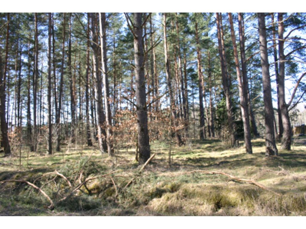 Mazury SUPER DOMEK zaprasza do Jerutek, Jerutki, warmińsko-mazurskie