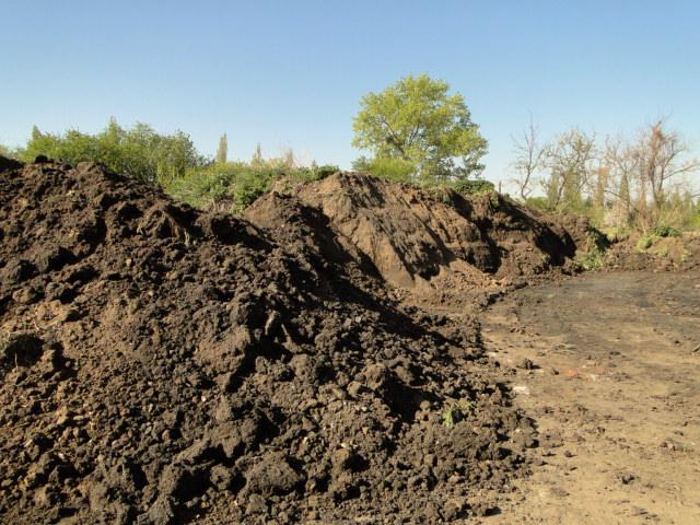 Ziemia ogrodowa, Malbork, pomorskie