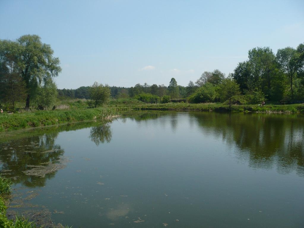 STAWY HODOWLANE, ŁOWISKO WĘDKARSKIE POZNAŃ , Poznań, Czapury, wielkopolskie