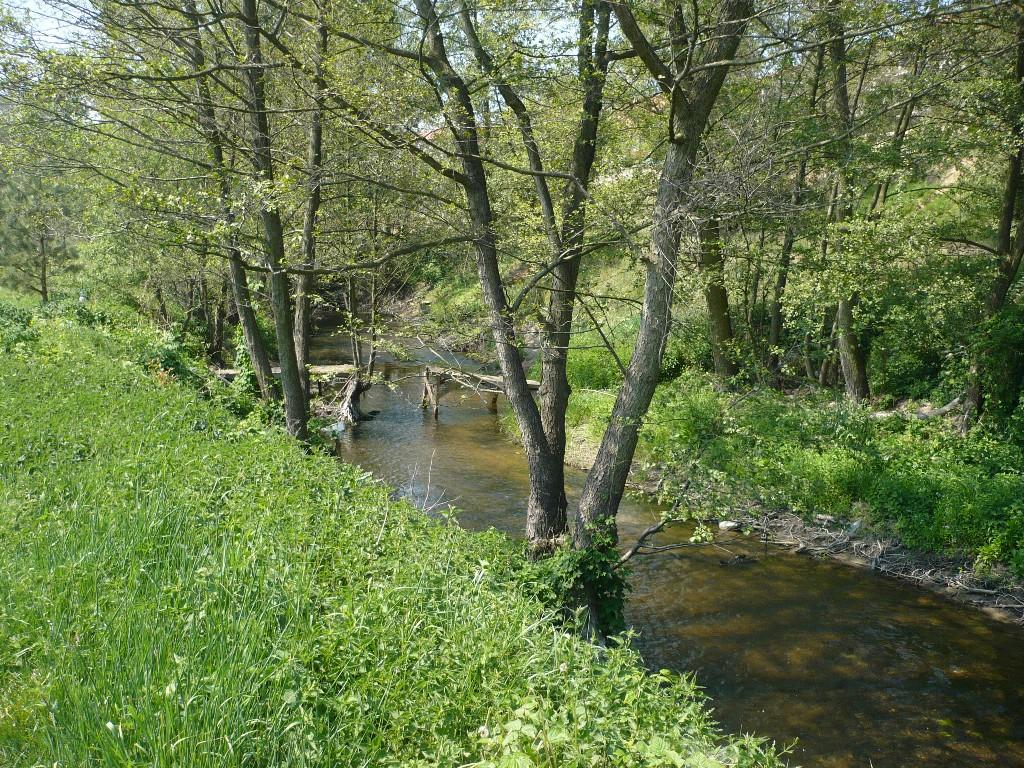 STAWY HODOWLANE, ŁOWISKO WĘDKARSKIE POZNAŃ , Poznań, Czapury, wielkopolskie