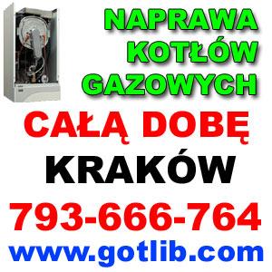 Naprawa kotłów gazowych- Kraków i okolice, małopolskie