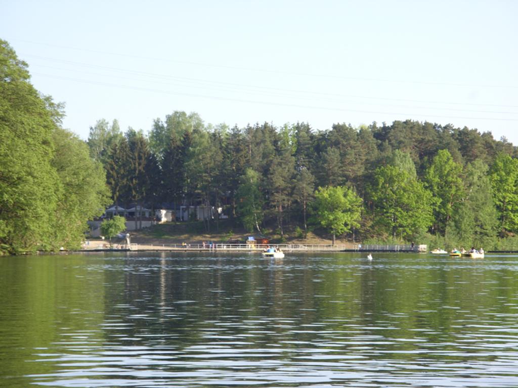 Wynajem domku letniskowego Patra, wolne noclegi, kwatery, pokoje  cały domek dla Was! Łagów lu