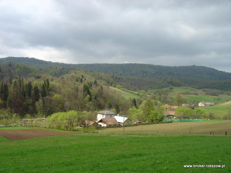 BIESZCZADY działki na sprzedaż, Teleśnica Oszwa, Bieszczady, Solina, Teleśnica Oszwarowa, podkarpackie