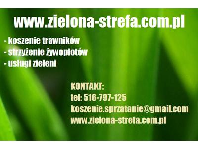 www.zielona-strefa.com.pl - kliknij, aby powiększyć