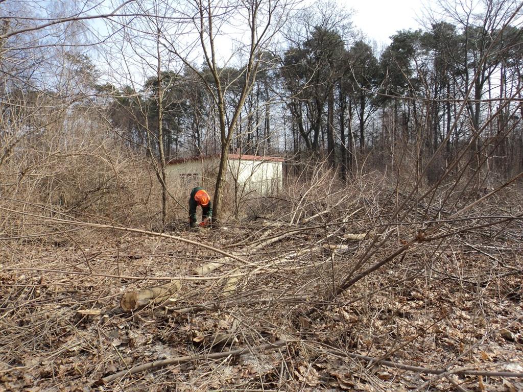 Zakładanie trawników - ogrody - Borowa, łódzkie