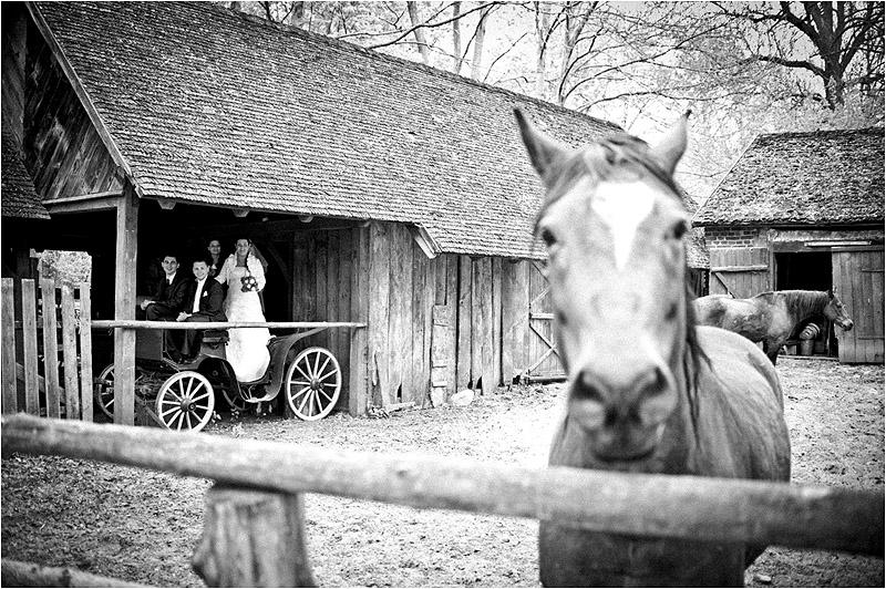 Fotografia Ślubna - okolicznościowa, Siedlce, mazowieckie