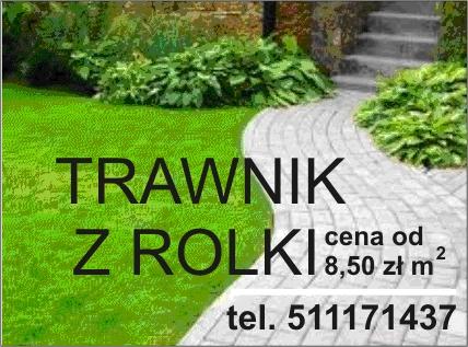 TRAWNIK Z ROLKI