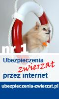 Ubezpieczenia zwierząt