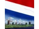 Język NIDERLANDZKI - HOLENDERSKI  -  najlepsze kursy językowe