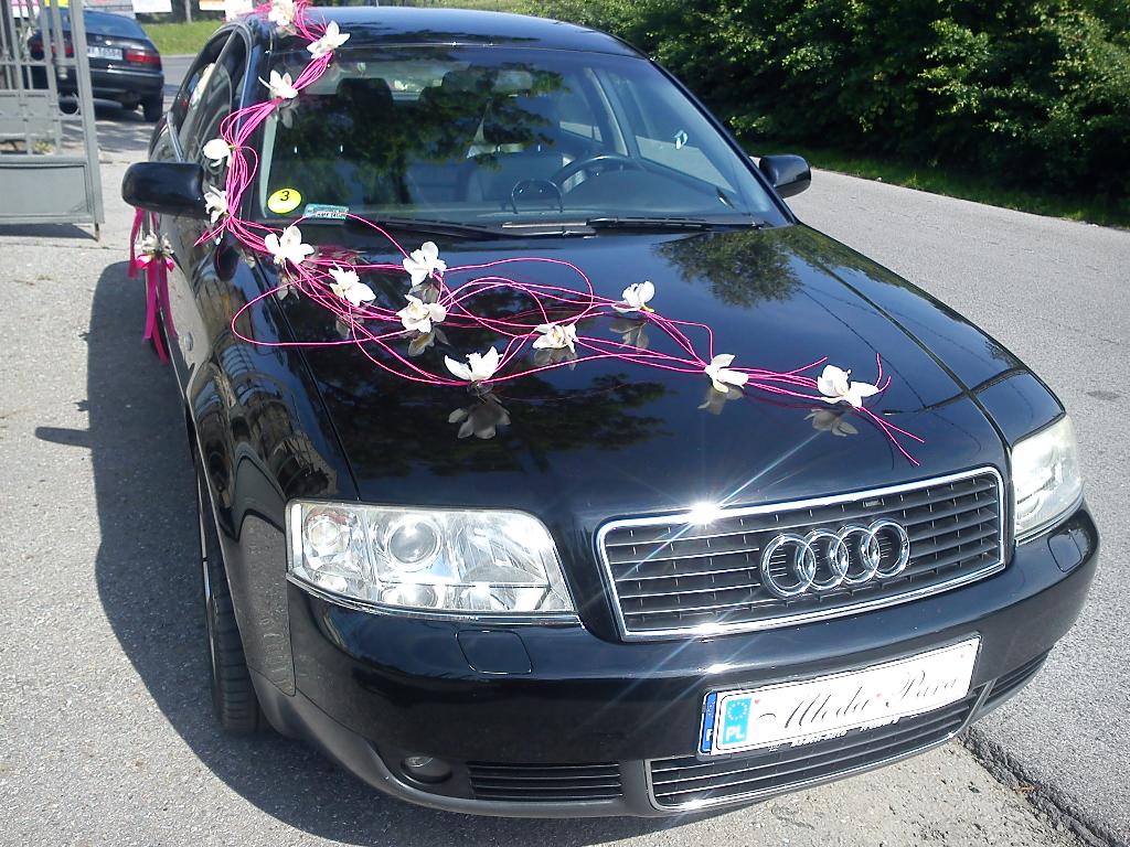 AUDI A6 - PRZÓD Z DEKORACJĄ (zdjęcie zrobione 5.06. 2011r)