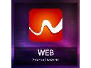 WEB internet experts  -  Rozwiązania Internetowe