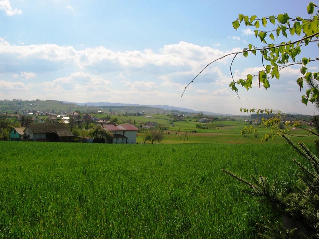 Sprzedam domy Nowy Sącz ul. Juranda 21 ROZRUM, małopolskie