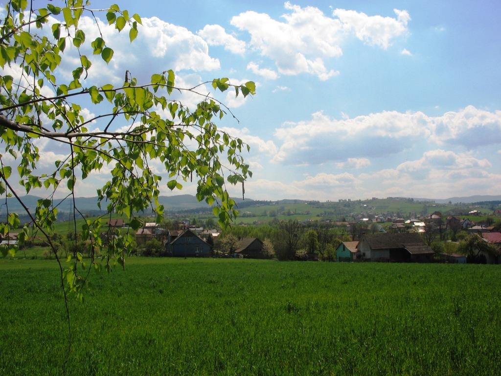 Sprzedam domy Nowy Sącz ul. Juranda 21 ROZRUM, małopolskie