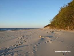 PLAŻA WISEŁKA